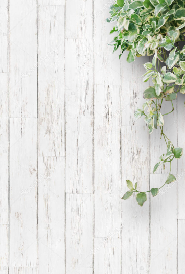 Fundo decorativo
